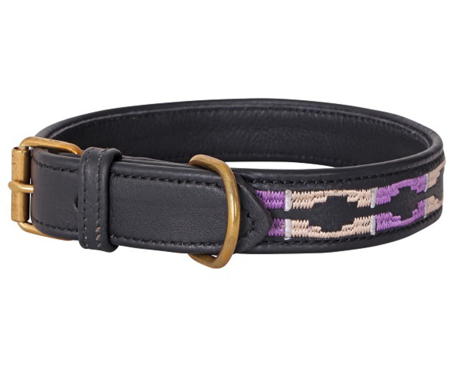Double Hill 25mm Polo Dog Collar image 0